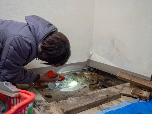 Dehumidification Services in Libertyville, IL