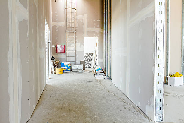 Best Real Estate Mold Inspection  in Libertyvle, IL
